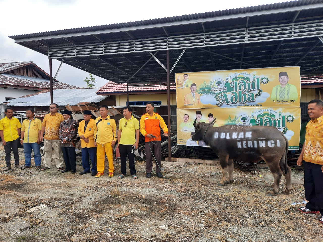 Dihadiri Ir.Boy Edwar,MM, Golkar Kerinci Sembelih Satu Ekor Kerbau Qurban,